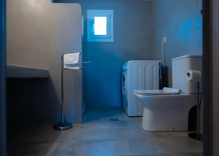 Vakantiehuis Luxury House